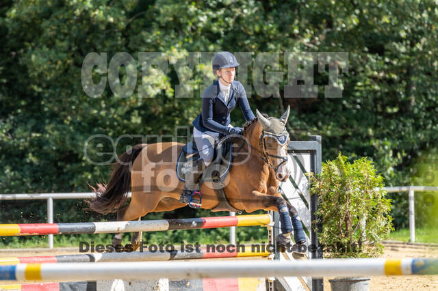 RFV Dinslaken-Hiesfeld (Herbstturnier)