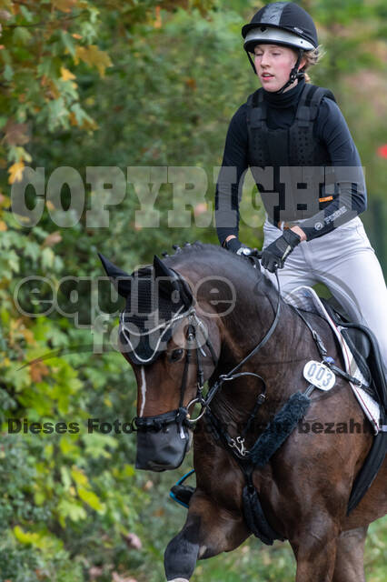 Goldene Schärpe 2020 - Pferde