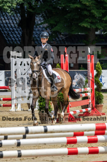 Goldene Schärpe 2021 - Ponys