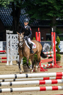 Goldene Schärpe 2021 - Ponys