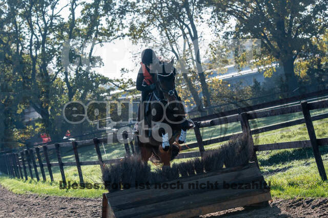 Vielseitigkeitslehrgang mit Jürg Kurbel (9.+10.11.2019)