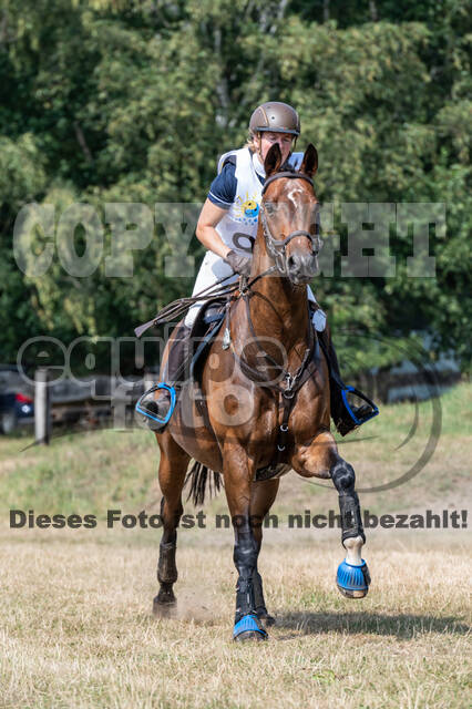 Late-Entry Vielseitigkeit Hamminkeln/Wesel (01.+02.08.2020)