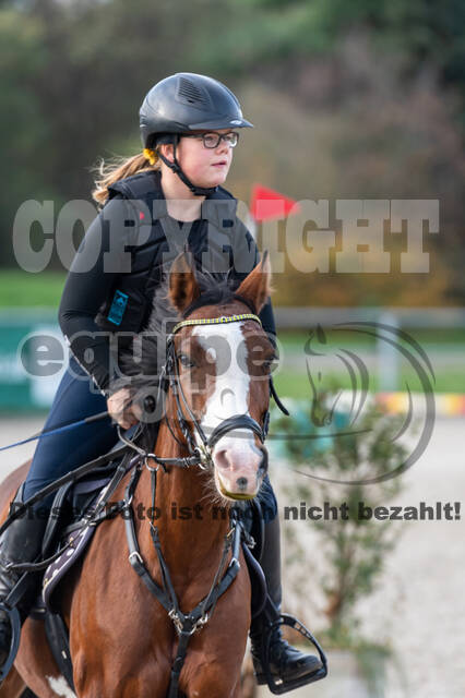 IGV Lehrgang der Sieger der Cups mit Frank Ostholt