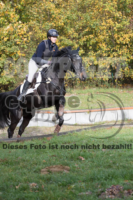 IGV Lehrgang der Sieger der Cups mit Frank Ostholt