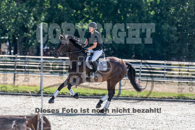 Late-Entry-Vielseitigkeit Langenfeld (11.+13./14.06.2020)