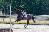 Late-Entry-Vielseitigkeit Langenfeld (11.+13./14.06.2020)