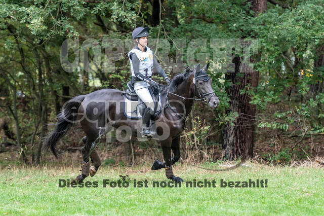 Vielseitigkeit RSV Wesel Obrighoven (26.+27.09.2020)