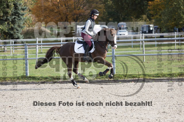 IGV Lehrgang der Sieger der Cups mit Frank Ostholt