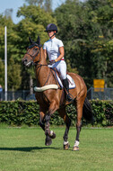 Kronenberg - De Peelbergen (August 2020)