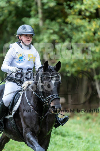 Vielseitigkeit RSV Wesel Obrighoven (26.+27.09.2020)