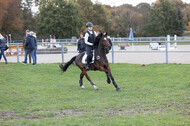IGV Lehrgang der Sieger der Cups mit Frank Ostholt