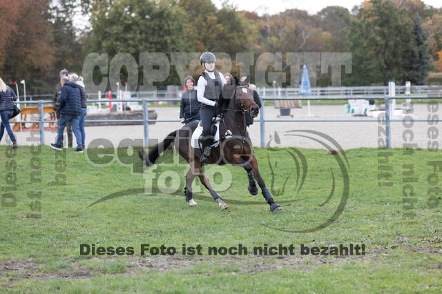 IGV Lehrgang der Sieger der Cups mit Frank Ostholt