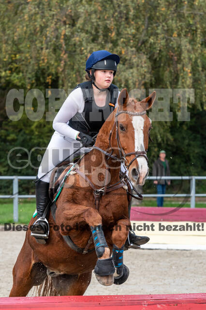 Goldene Schärpe 2020 - Pferde