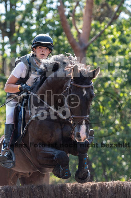 De Peelbergen (August 2020)