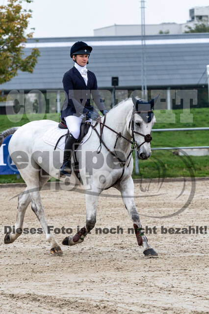 Goldene Schärpe 2020 - Pferde