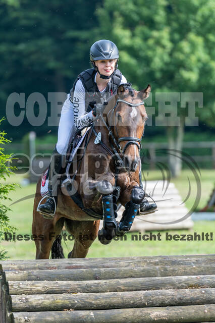 Goldene Schärpe 2021 - Ponys