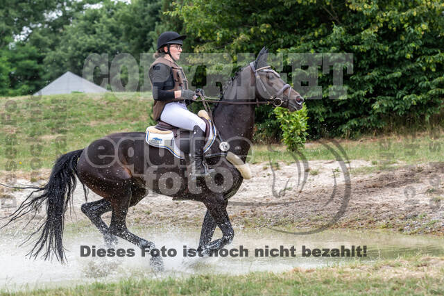Late-Entry-Vielseitigkeit Langenfeld (11.+13./14.06.2020)