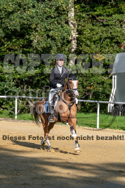 RFV Dinslaken-Hiesfeld (Herbstturnier)