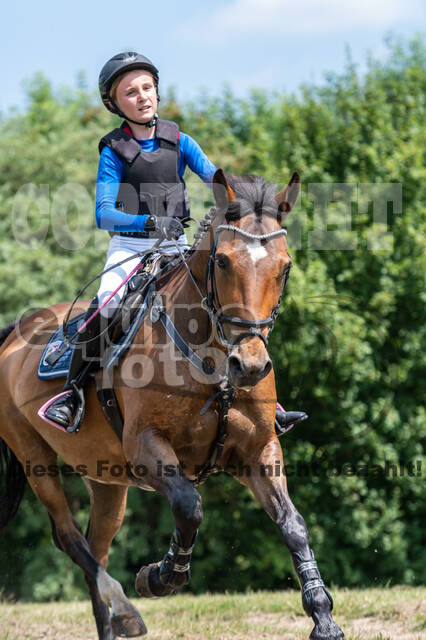 Goldene Schärpe 2021 - Ponys