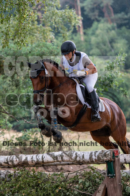 Late-Entry Vielseitigkeit Hamminkeln/Wesel (01.+02.08.2020)