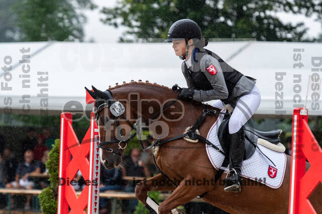 Goldene Schärpe 2021 - Ponys