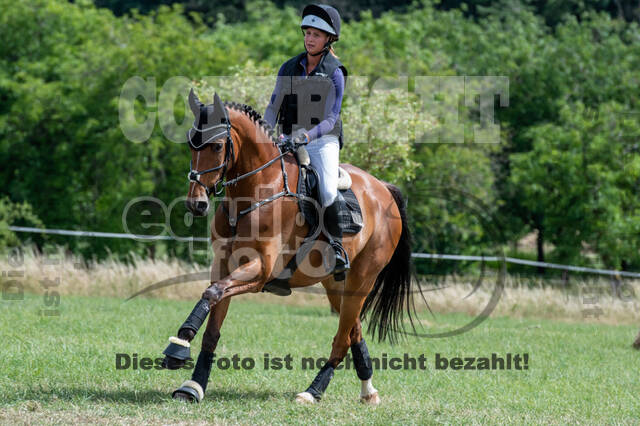 Bonn-Rodderberg Late-Entry-Vielseitigkeit (30.06.2020)
