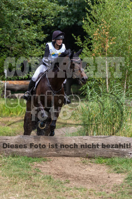 Late-Entry Vielseitigkeit Hamminkeln/Wesel (01.+02.08.2020)