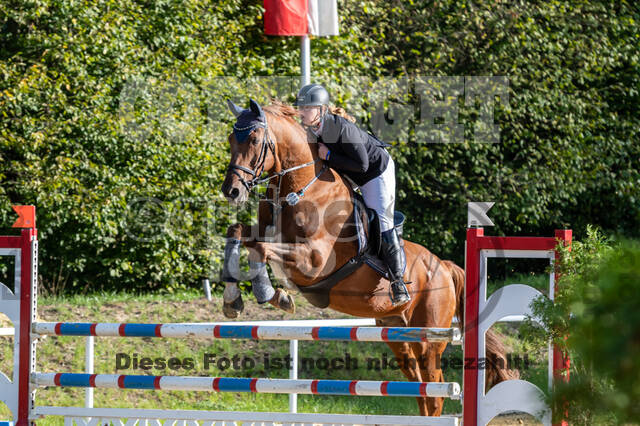 RFV Dinslaken-Hiesfeld (Herbstturnier)