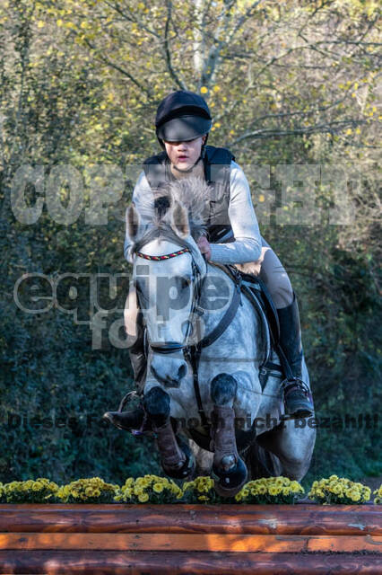 Vielseitigkeitslehrgang mit Jürg Kurbel (9.+10.11.2019)