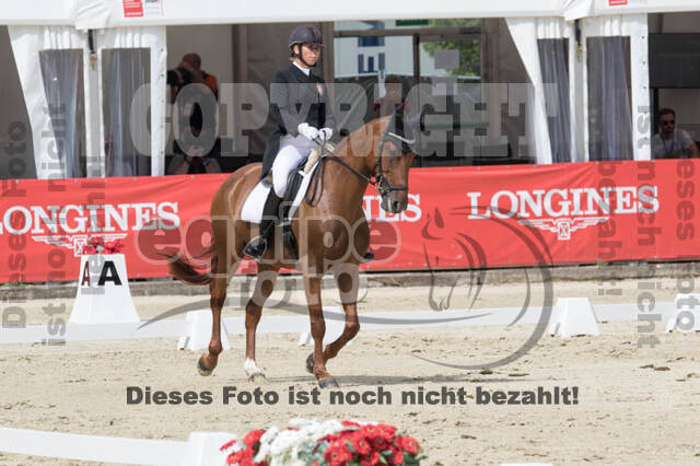 FEI European Championship Eventing 2017