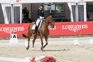 FEI European Championship Eventing 2017