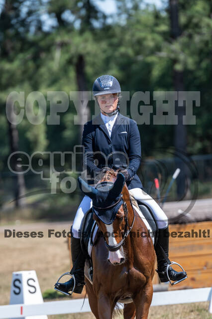 Kronenberg - De Peelbergen (August 2020)