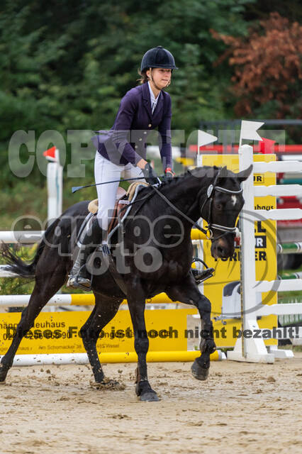 Vielseitigkeit RSV Wesel Obrighoven (26.+27.09.2020)