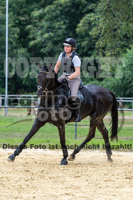 Hunter Geländetraining 10.07.2021 (Sonsbeck)