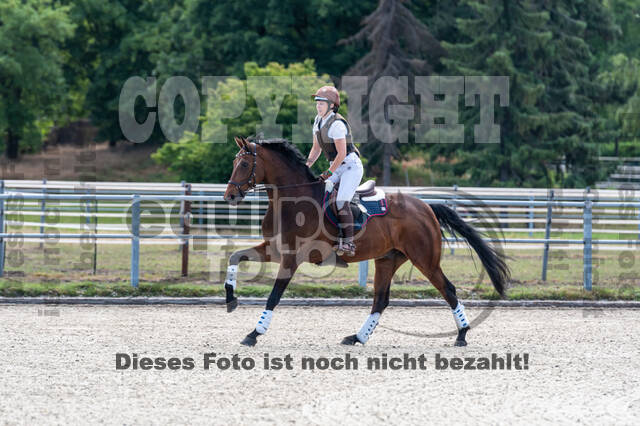 Late-Entry-Vielseitigkeit Langenfeld (11.+13./14.06.2020)