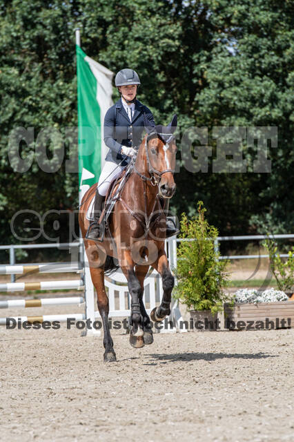 Landesturnier Rheinland, Vielseitigkeit, 22.+23.08.2020