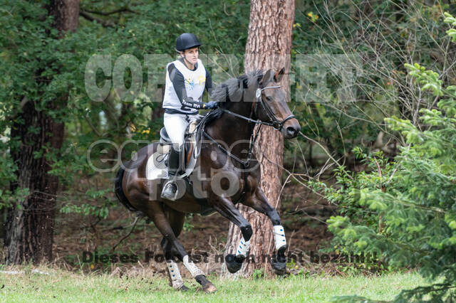 Vielseitigkeit RSV Wesel Obrighoven (26.+27.09.2020)