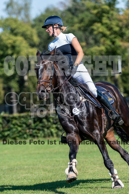 Kronenberg - De Peelbergen (August 2020)