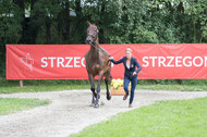 FEI European Championship Eventing 2017