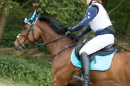Vielseitigkeitsturnier ZRFV von Lützow Hamminkeln