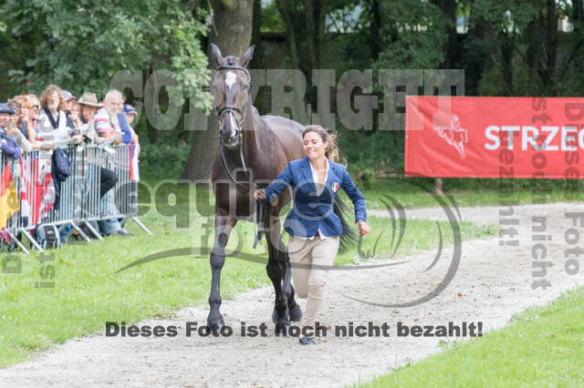 FEI European Championship