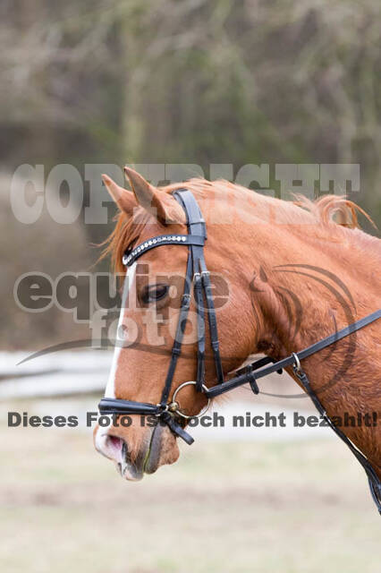 Geländetraining RSV St. Hubertus Wesel Obrighoven