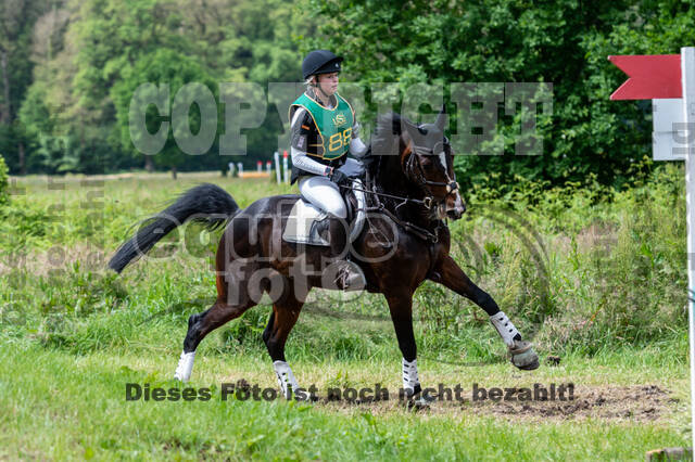 Westerstede Horse Trials (10.-13.06.2021)