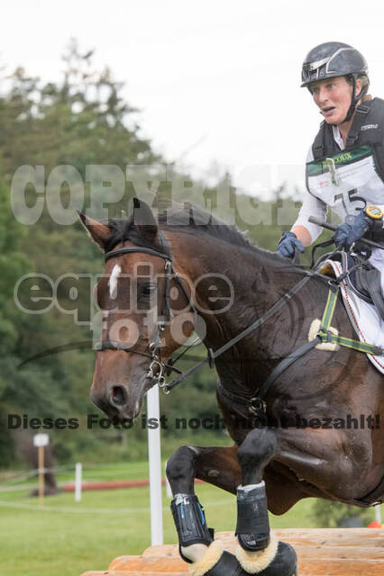 FEI European Championship Eventing 2017