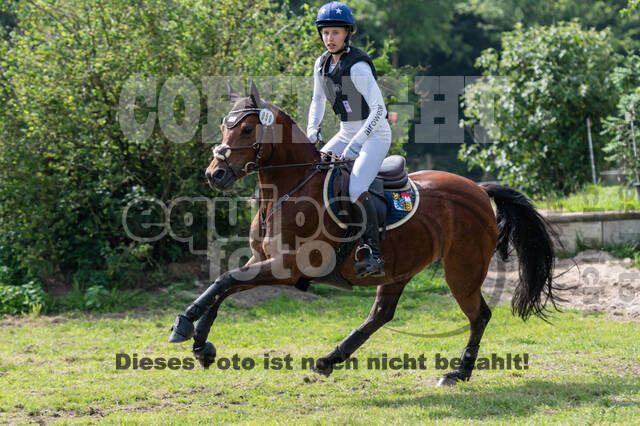 Goldene Schärpe 2021 - Ponys