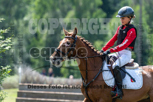 Goldene Schärpe 2021 - Ponys