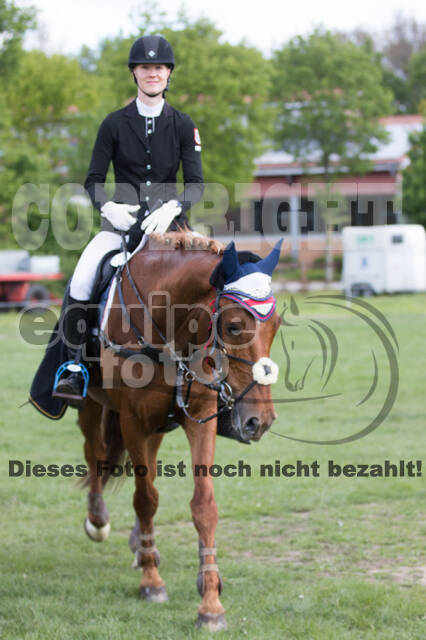 Sterne über Münster 2019 - CCI***S
