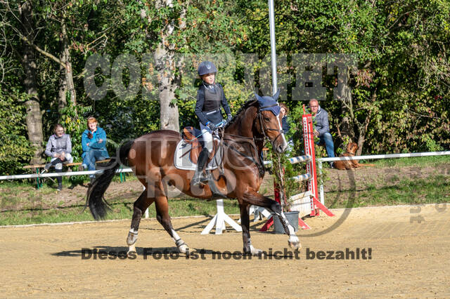 RFV Dinslaken-Hiesfeld (Herbstturnier)