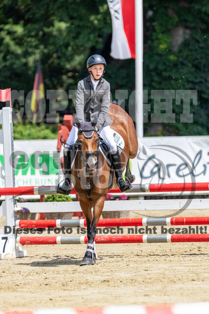 Goldene Schärpe 2021 - Ponys