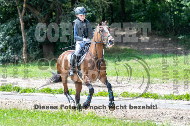 Late-Entry-Vielseitigkeit Langenfeld (06.+07.07.2020)